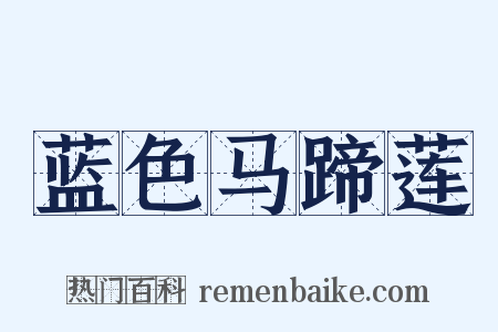 蓝色马蹄莲是什么意思的图片